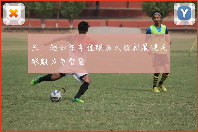 王燊超如陈年佳酿历久弥新展现足球魅力与智慧
