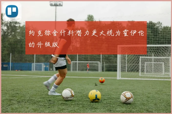 约克称舍什科潜力更大视为霍伊伦的升级版