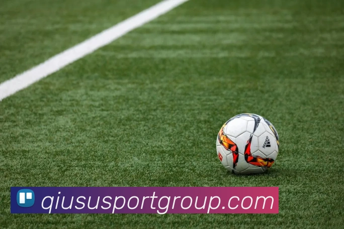 App Interface Preview